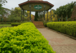 Sri Chamarajendra Park