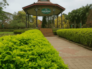 chatgpt image nov 11 2025 07 15 31 pm